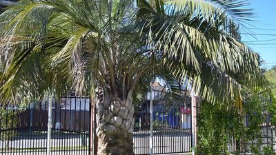 პალერმო_4