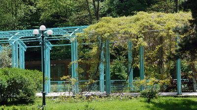 ბორჯომი ცენტრალ პარკ აპარტამენტი 1_4