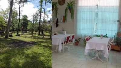 პალიასტომი_4