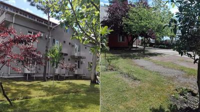 პალიასტომი_5