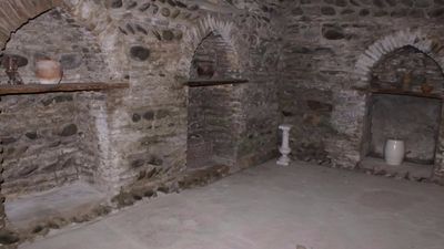 სავანე_3