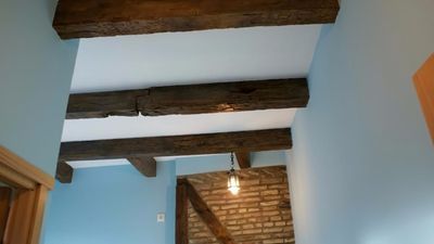 სავანე_4