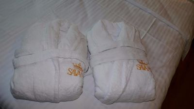 სავანე_6