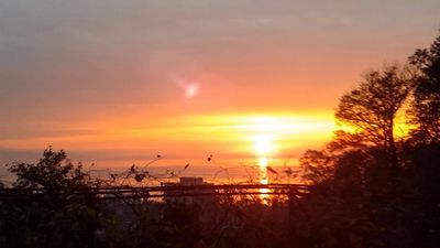 საოჯახო სასტუმრო გონიო_9