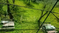 Koroche House - ვერ ვუკავშირდებით 5