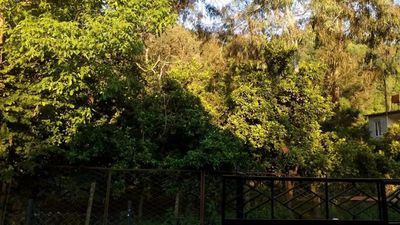 კოტეჯი გონიო_2