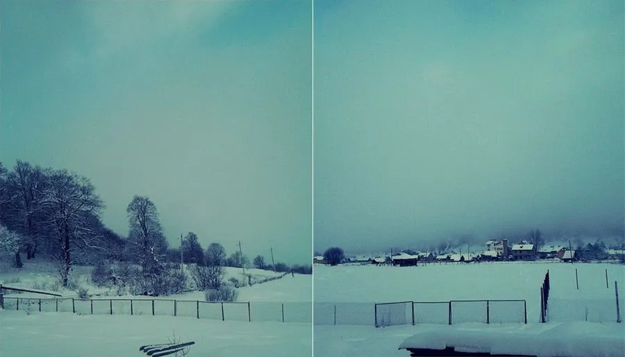 House Near Forest — ფოტო 16