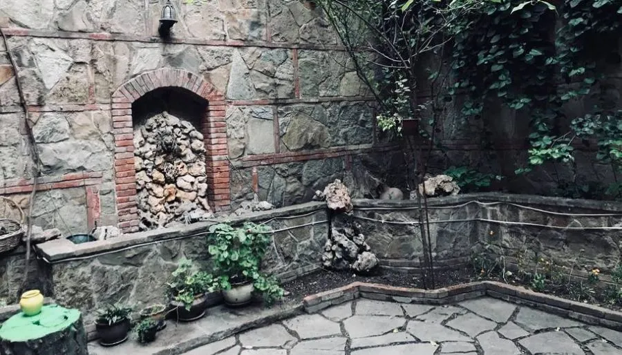 პოლონია — ფოტო 8