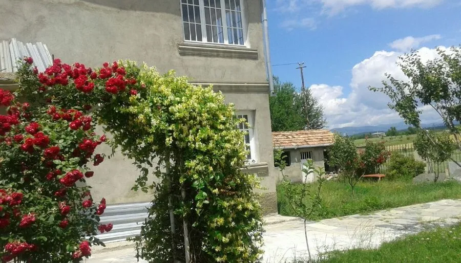 Bazaleti Guesthouse — Photo 10