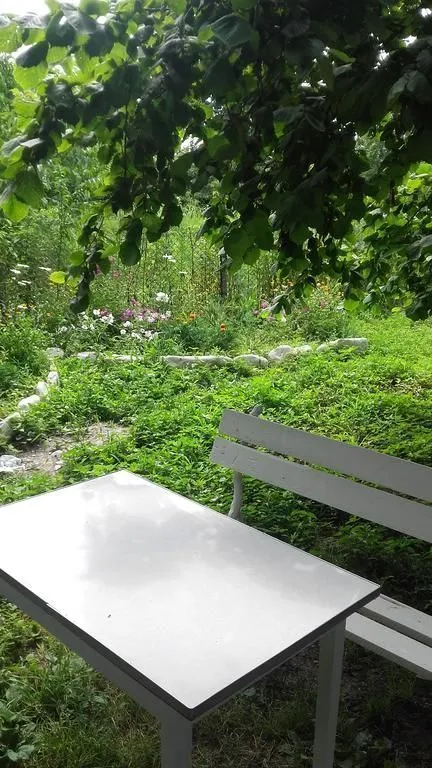 Guesthouse Cottage — Photo 4