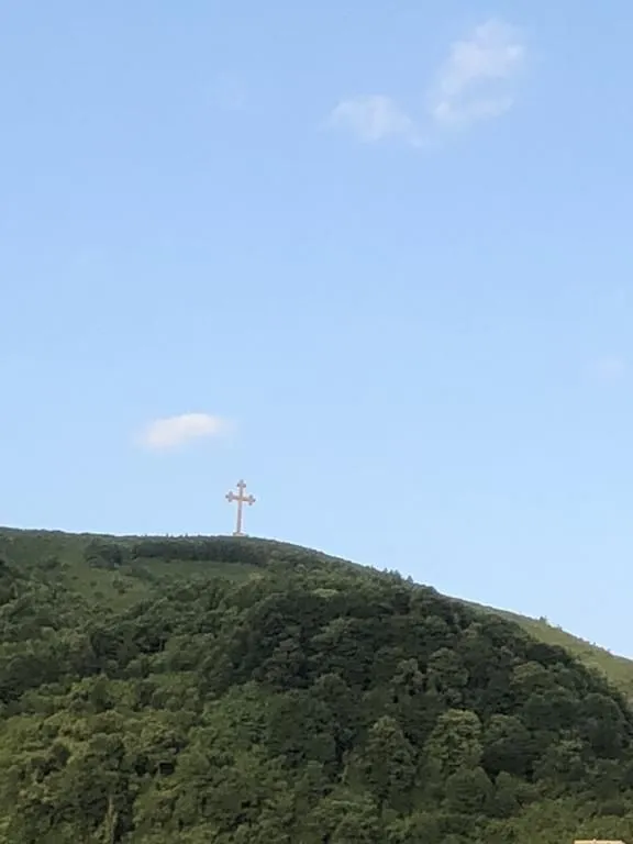 მანდარინი — ფოტო 31