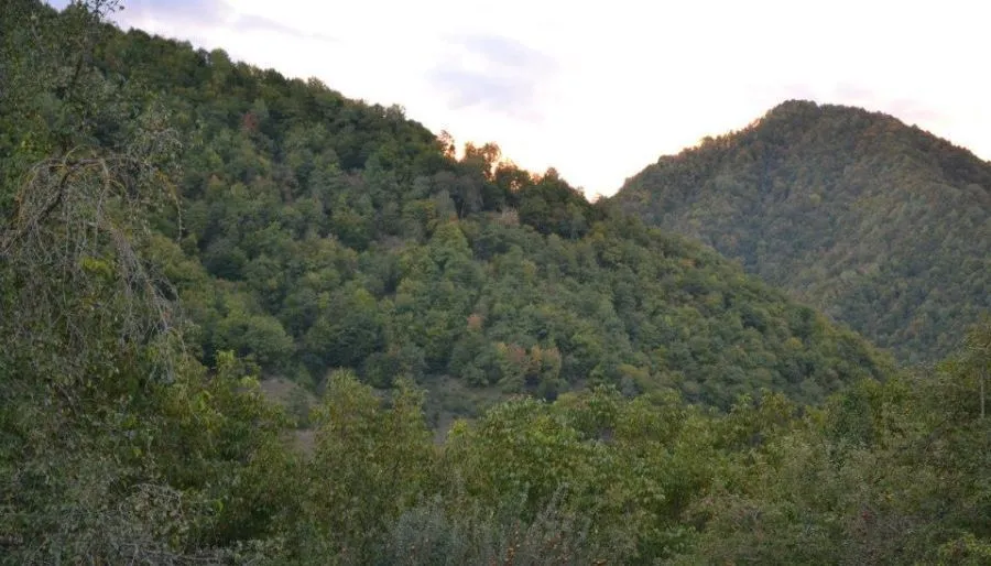 Kvesheti — Photo 29