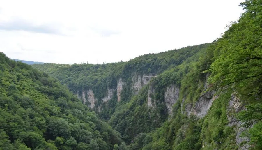 ვილა ქარდველი — ფოტო 26