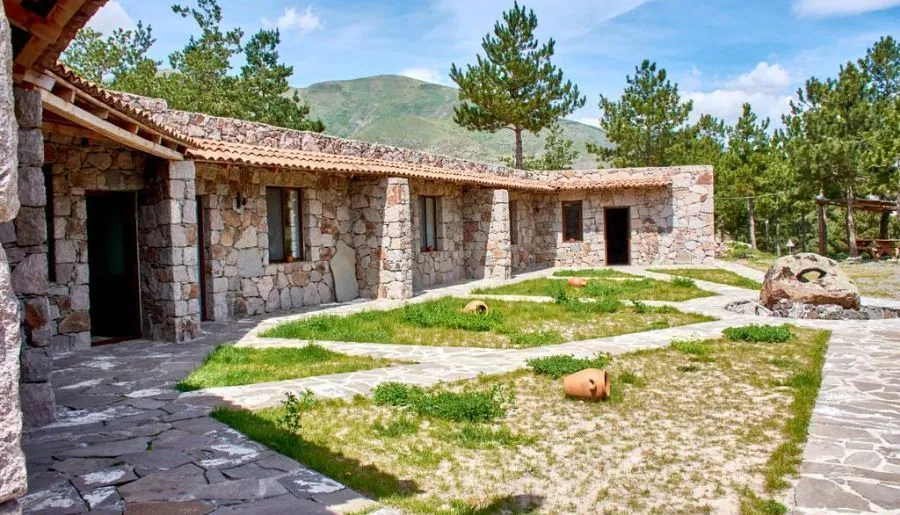 თირები — ფოტო 14