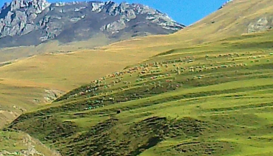 ქერიგო — ფოტო 20