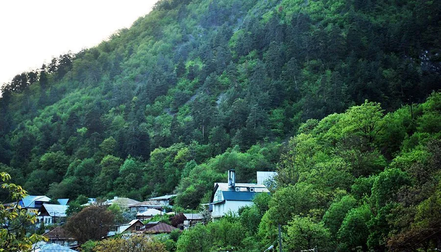 Old Borjomi — Photo 3