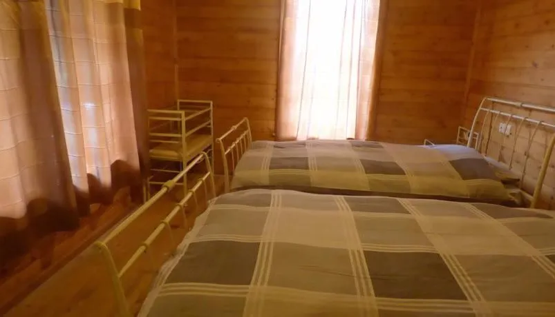 ჰაწვალი — ფოტო 29