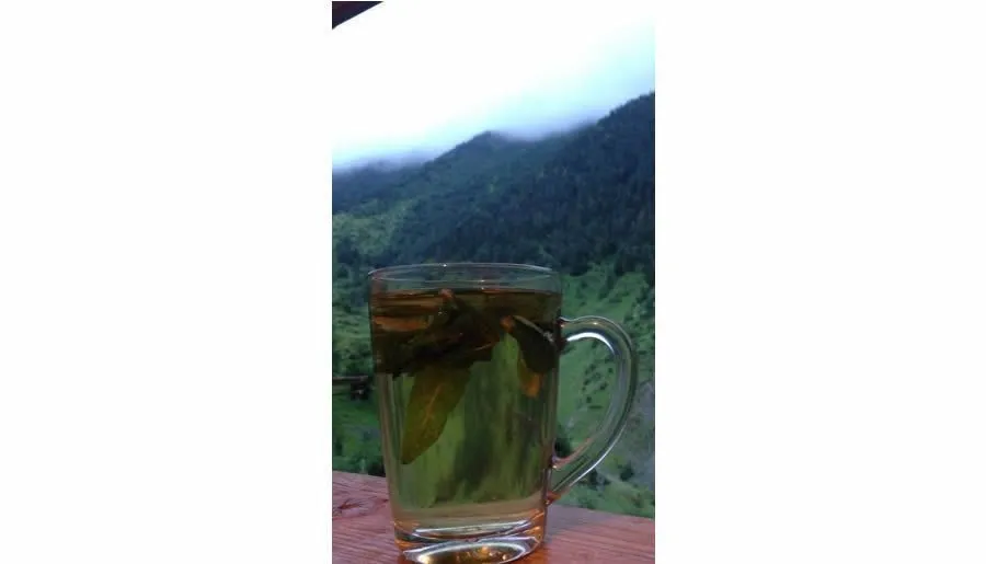 შატილი — ფოტო 7