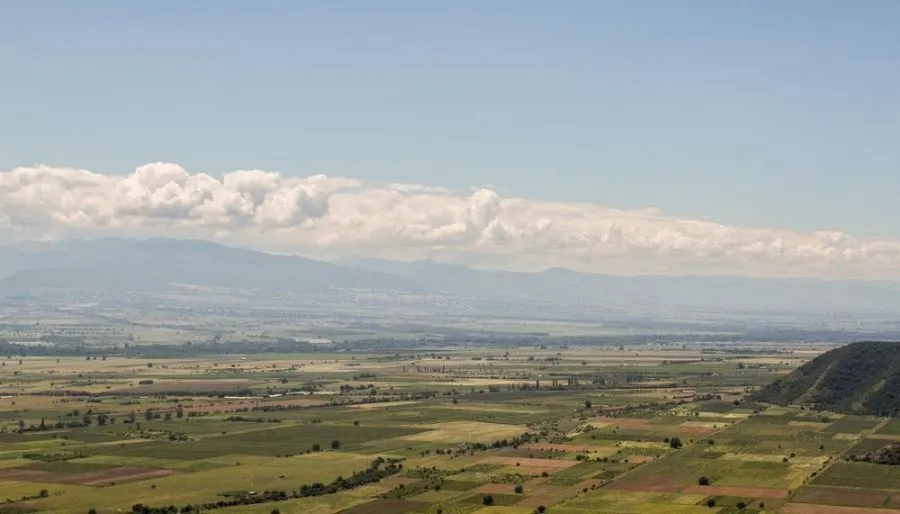 თელავი XXI — ფოტო 9