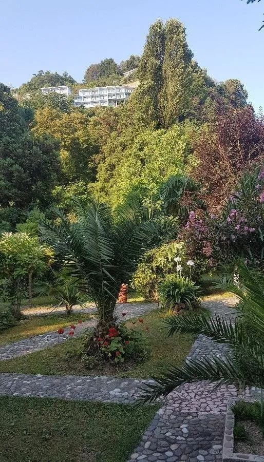 კალიფსო კვარიათი ინნ — ფოტო 8