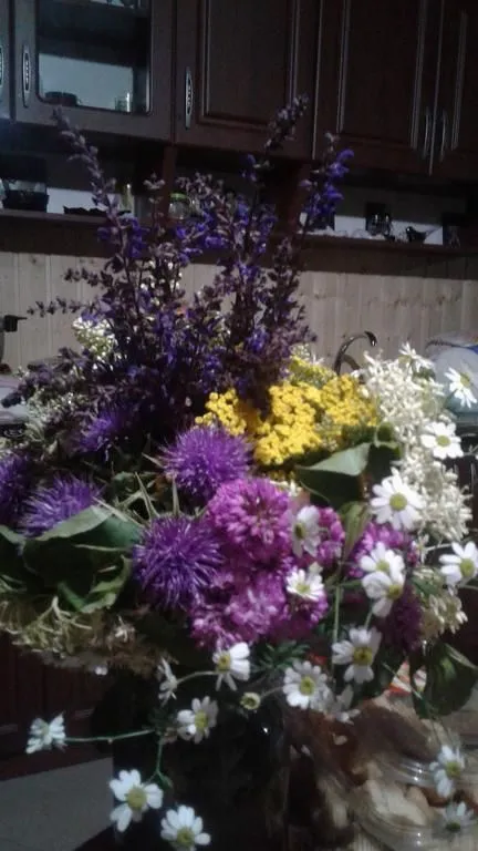 Guest house Sofya — Photo 2