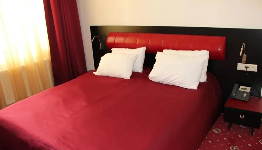 Hotel Villa Palace — Photo 37