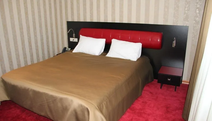 Hotel Villa Palace — Photo 45
