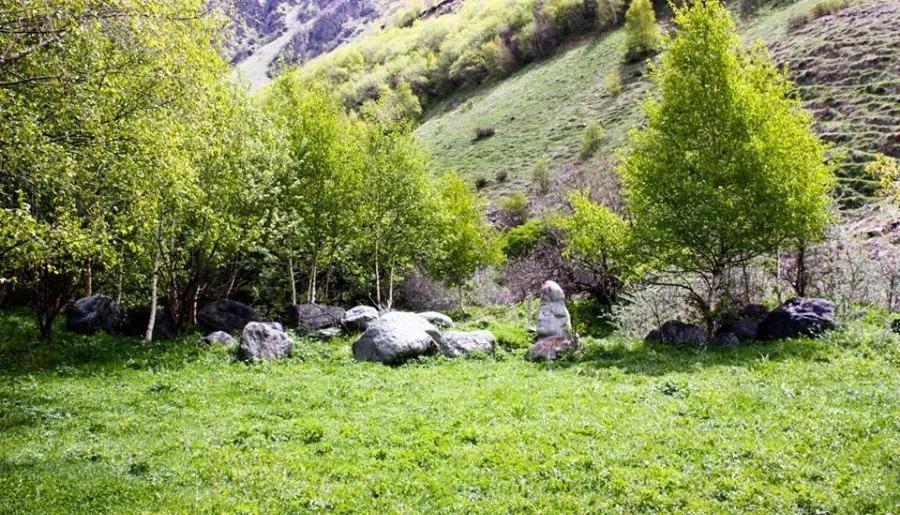 Green Cottages — Photo 12