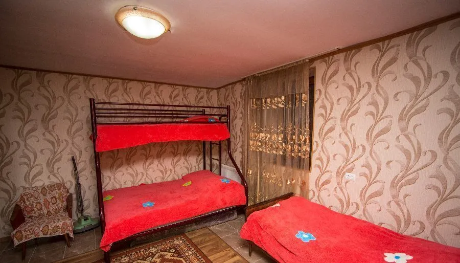 Старый зеленый дом — Фото 15