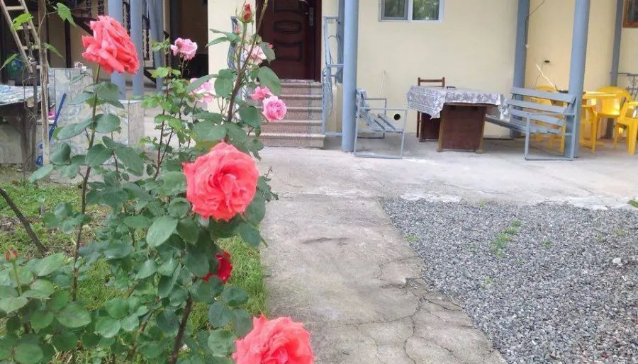 Grimi's Villa — Photo 2