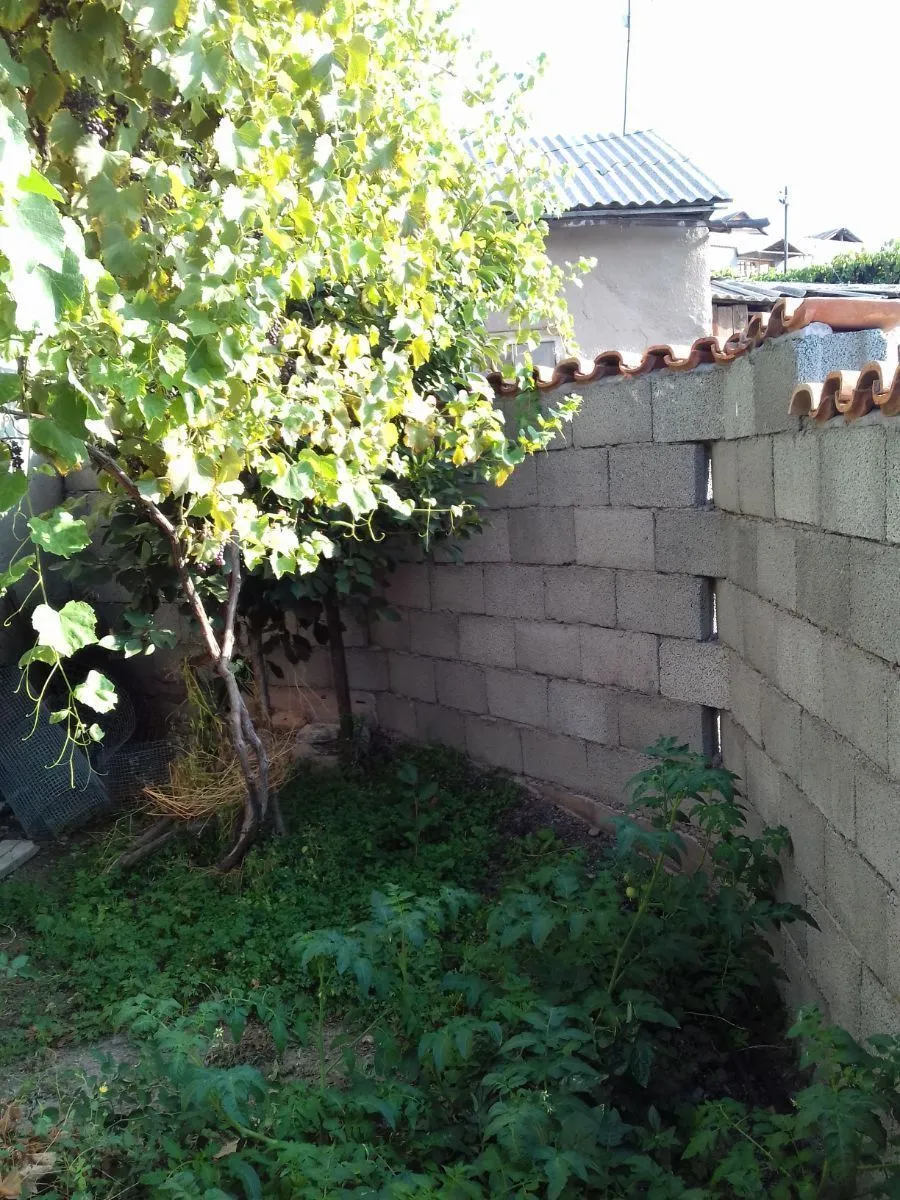 ALDA — Photo 7