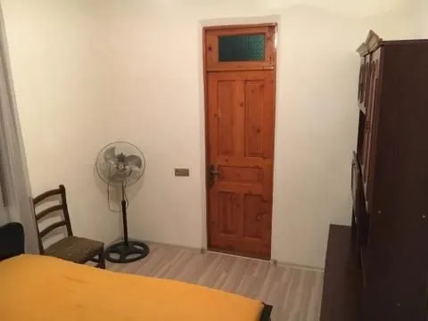 რაული — ფოტო 55