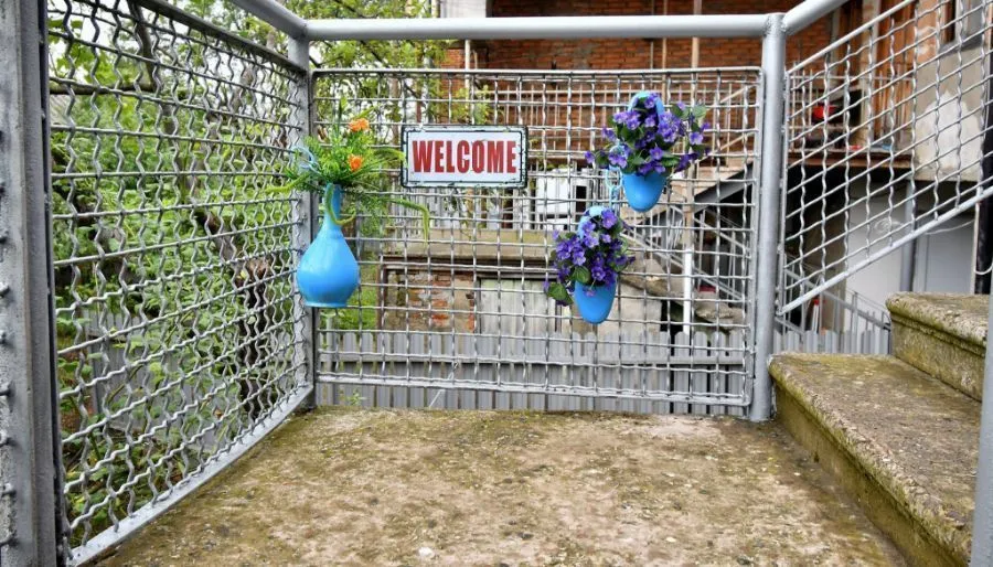 Home at Friends — Photo 19