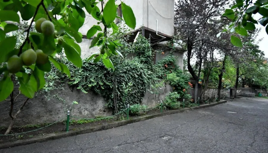 სტუმრად მეგობრებთან — ფოტო 9