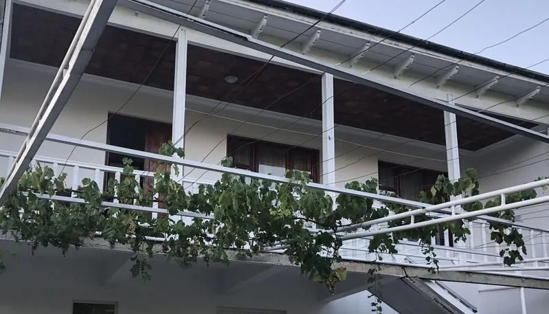 House in the nature — Photo 10
