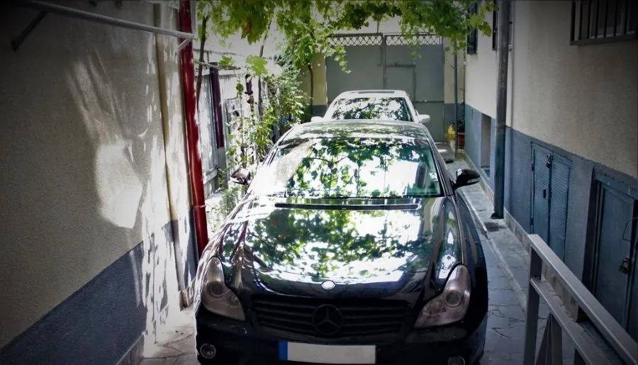 გოლდენ ვეი — ფოტო 14