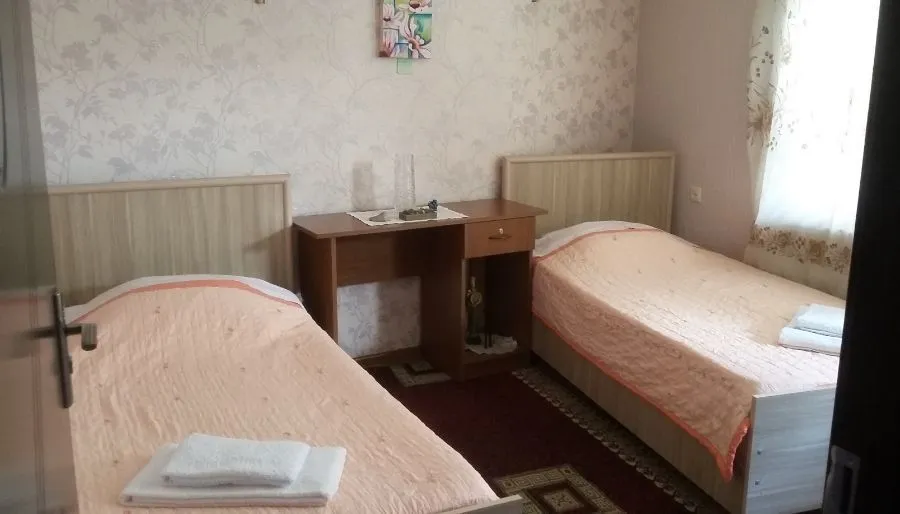 ჟივოი — ფოტო 17