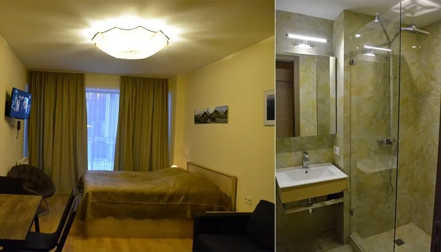 New Gudauri apt 219 — ფოტო 6