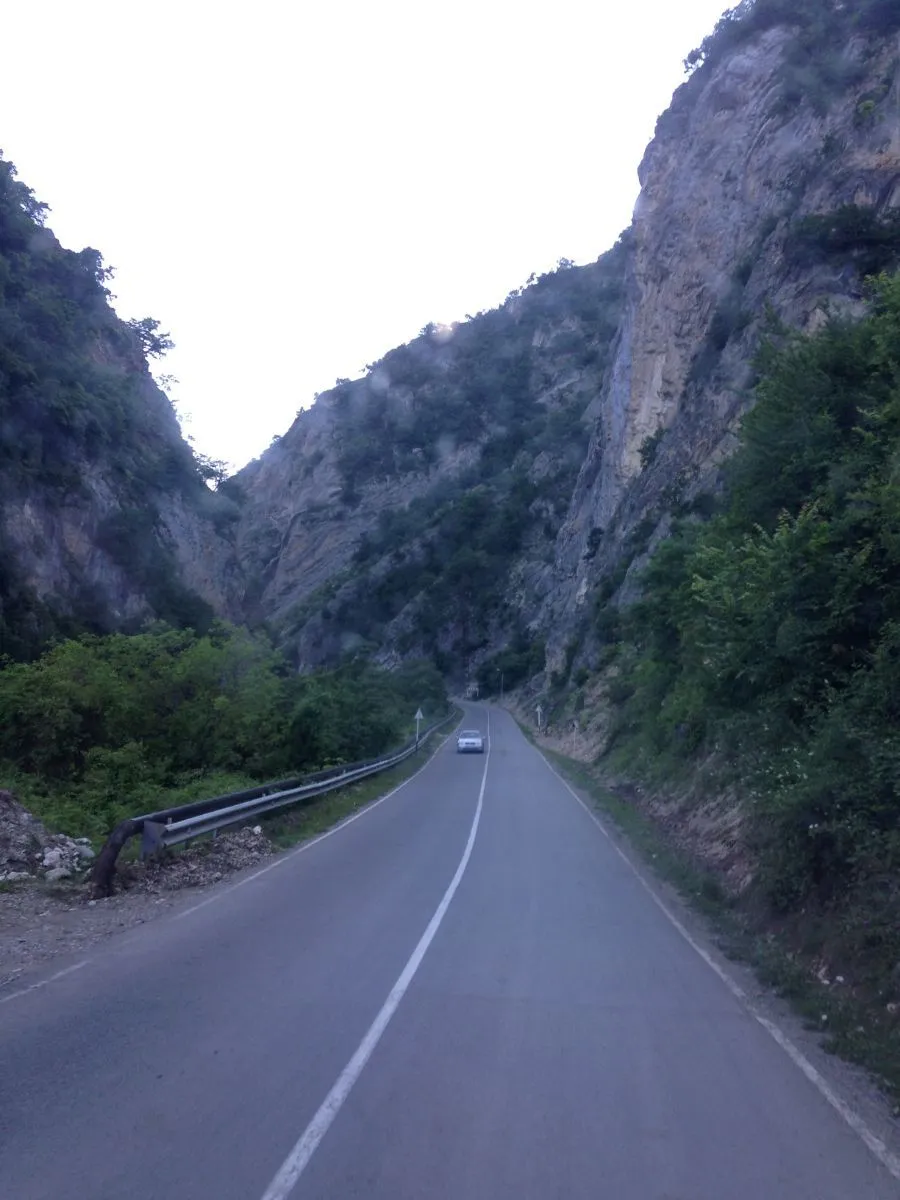 Nika — Photo 1