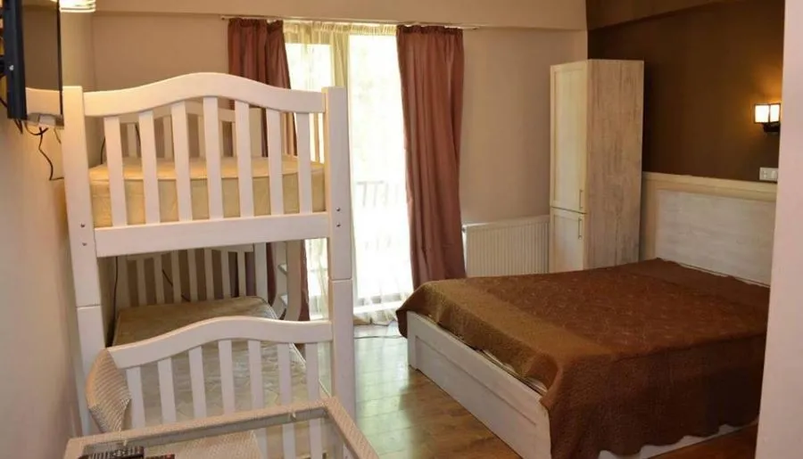 Mgzavrebi Bakuriani block 6 apt 311 — Photo 9