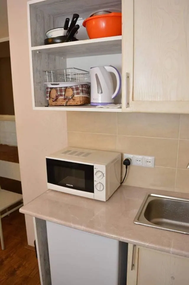 Mgzavrebi Bakuriani block 6 apt 311 — Photo 10