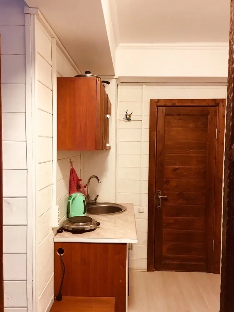 Mgzavrebi Apt 210 — Photo 11