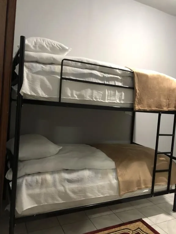 მიმინო — ფოტო 26
