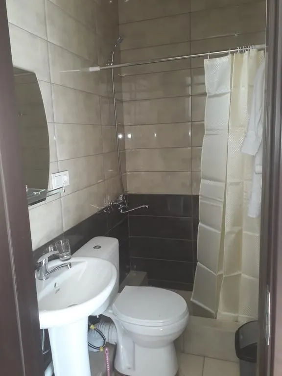 Villa Bakuriani — Photo 21