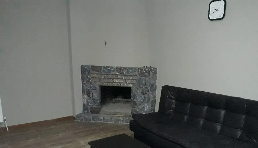 Villa Bakuriani — Photo 3