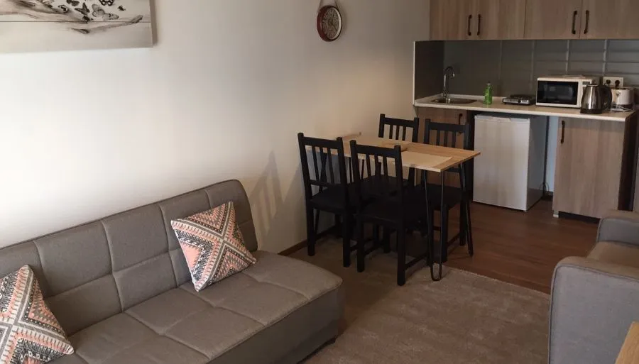 Apt N50 in 4 star hotel Mgzavrebi Panorama — Photo 16