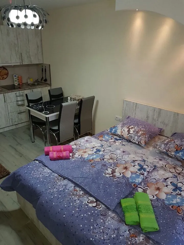 ახალი გუდაური ლოფტ 1 — ფოტო 20