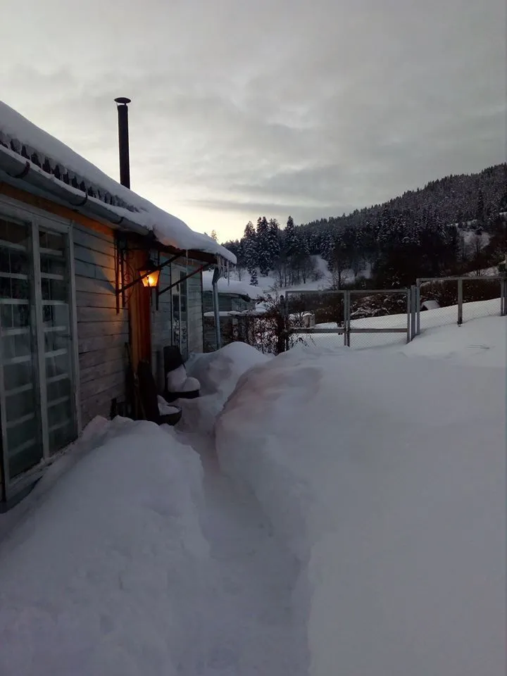Cottage in Bakuriani — Photo 3