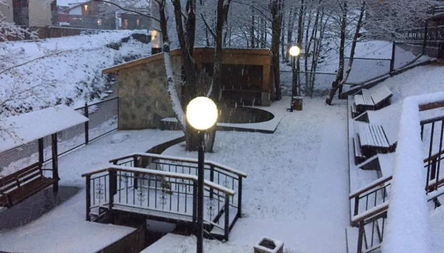 Alpine Cottages — Photo 6