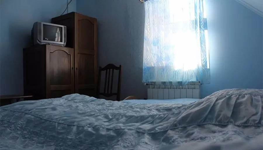 გუჯი — ფოტო 23